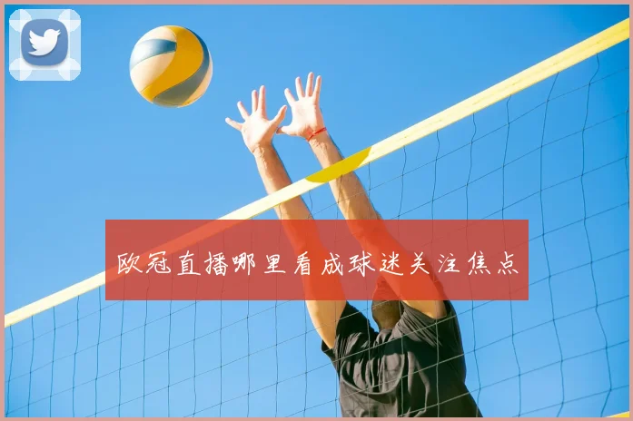 欧冠直播哪里看成球迷关注焦点
