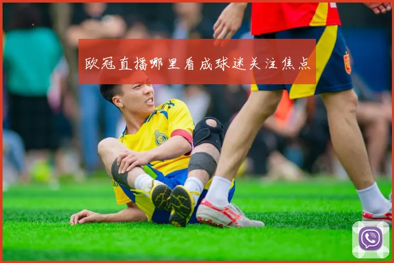 欧冠直播哪里看成球迷关注焦点